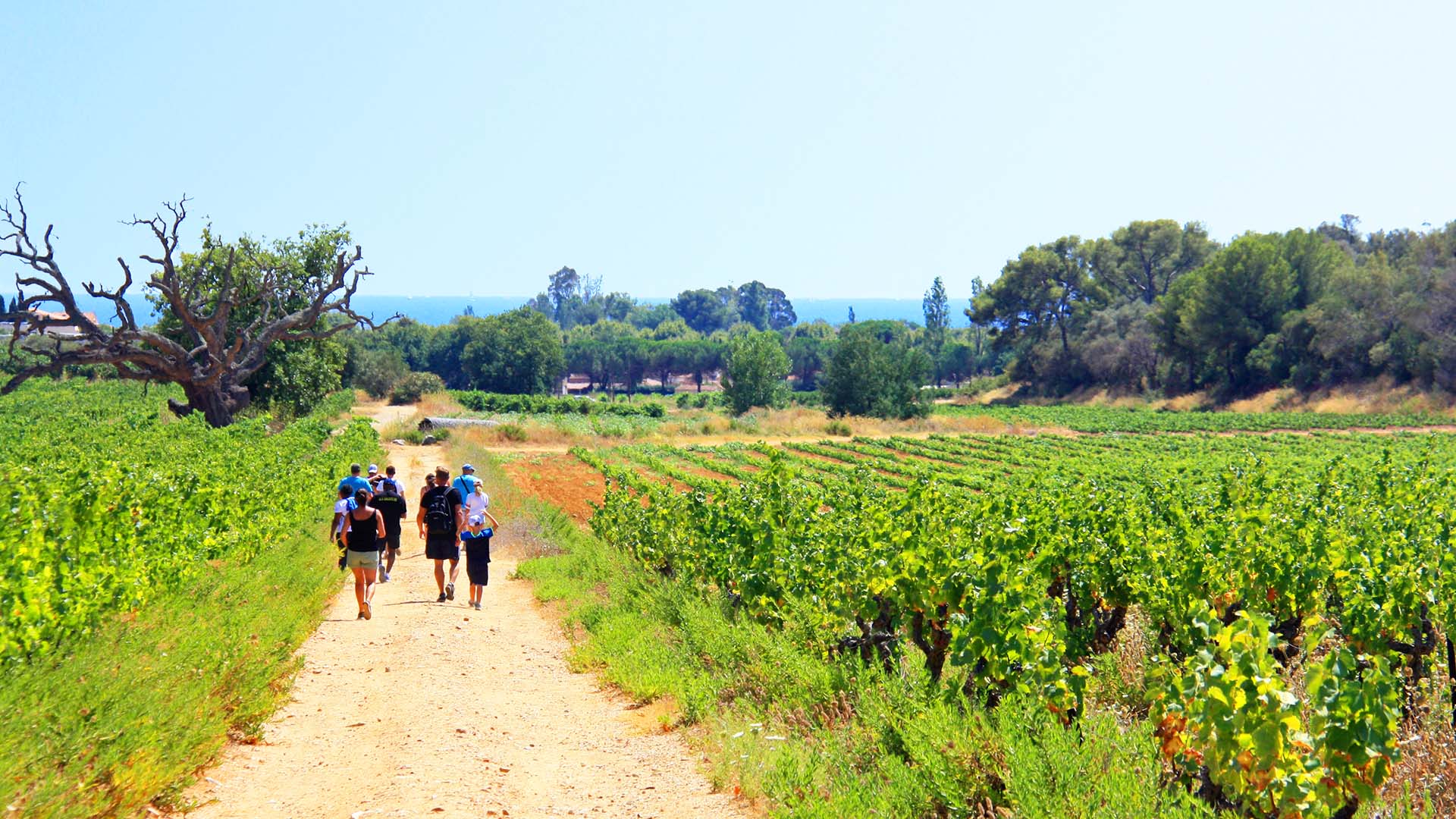 village vacances la londe les maure azureva vignes provence